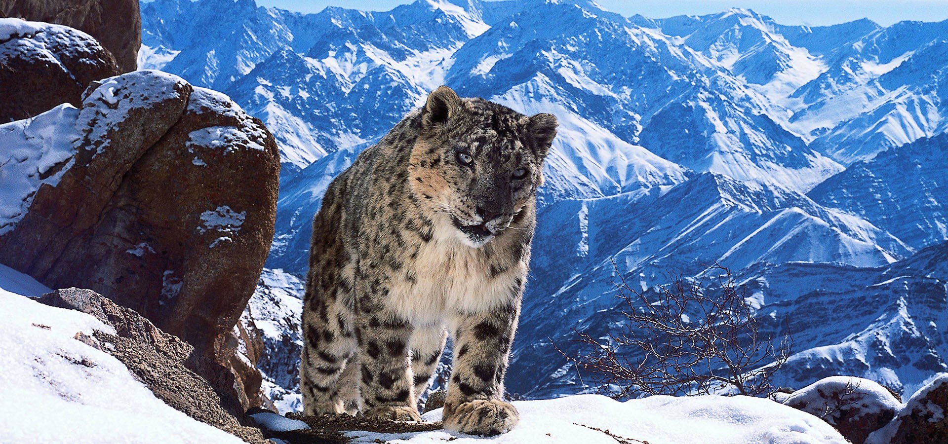 عکس اسلایدر